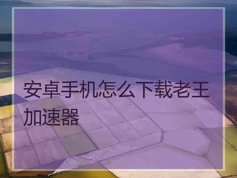 安卓手机怎么下载老王加速器