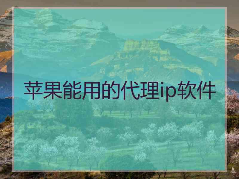 苹果能用的代理ip软件