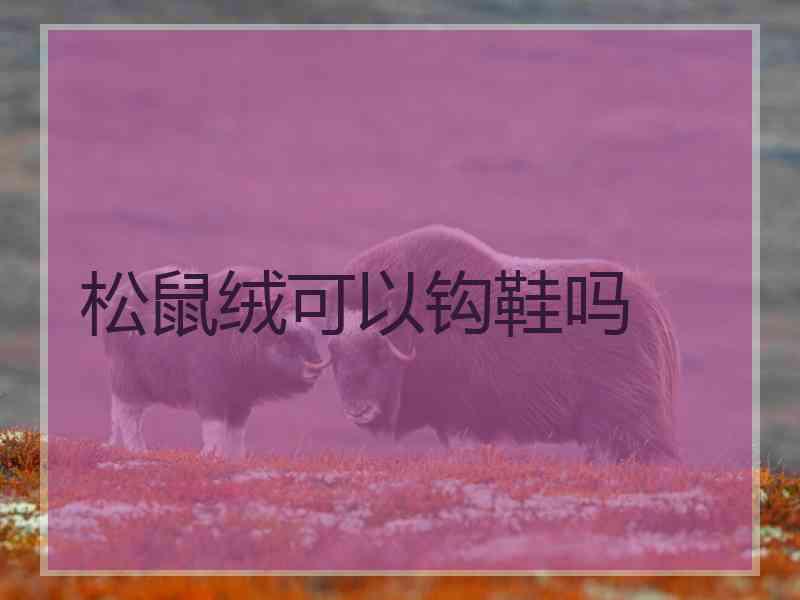 松鼠绒可以钩鞋吗