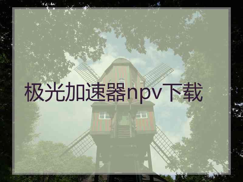 极光加速器npv下载