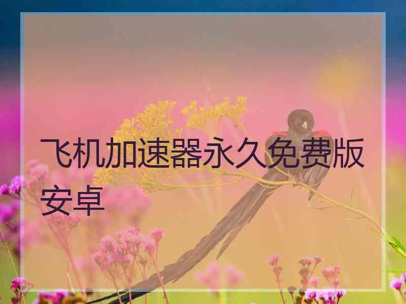 飞机加速器永久免费版安卓