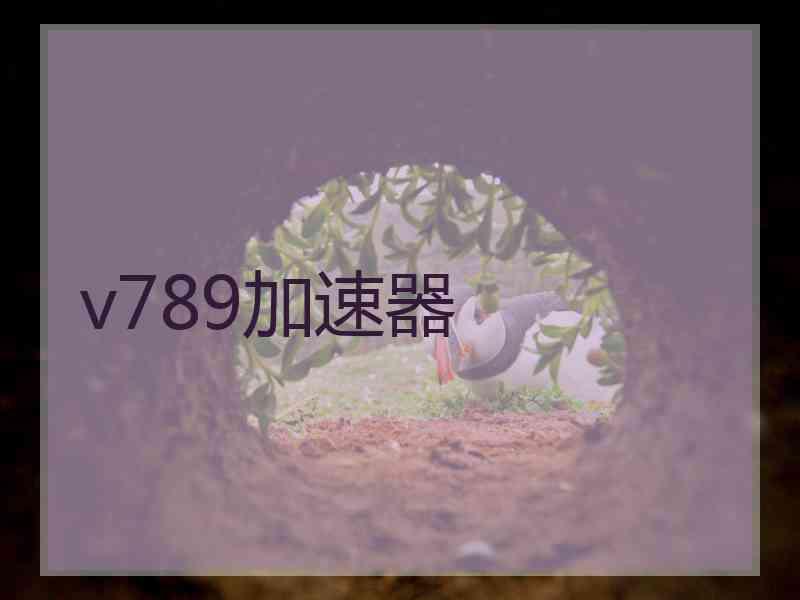 v789加速器