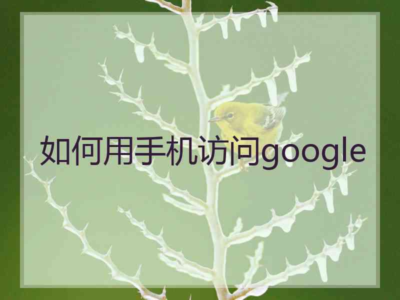 如何用手机访问google
