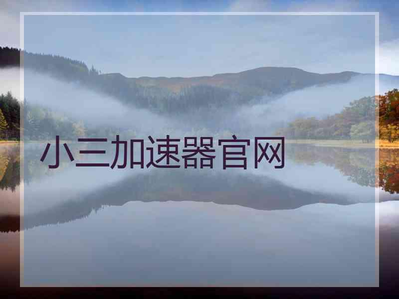 小三加速器官网