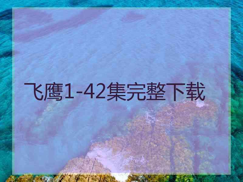 飞鹰1-42集完整下载