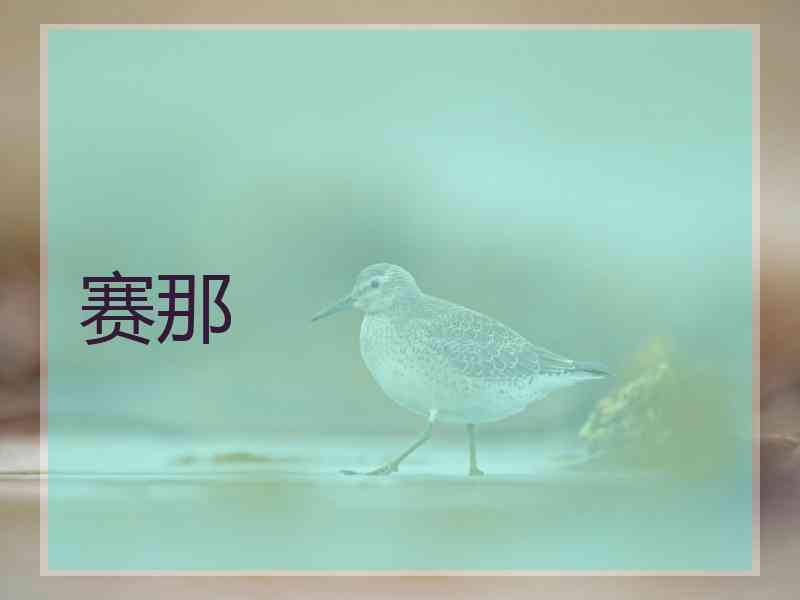 赛那