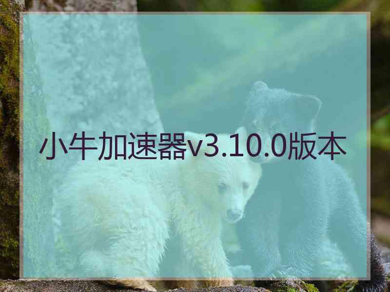 小牛加速器v3.10.0版本