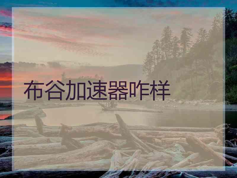 布谷加速器咋样