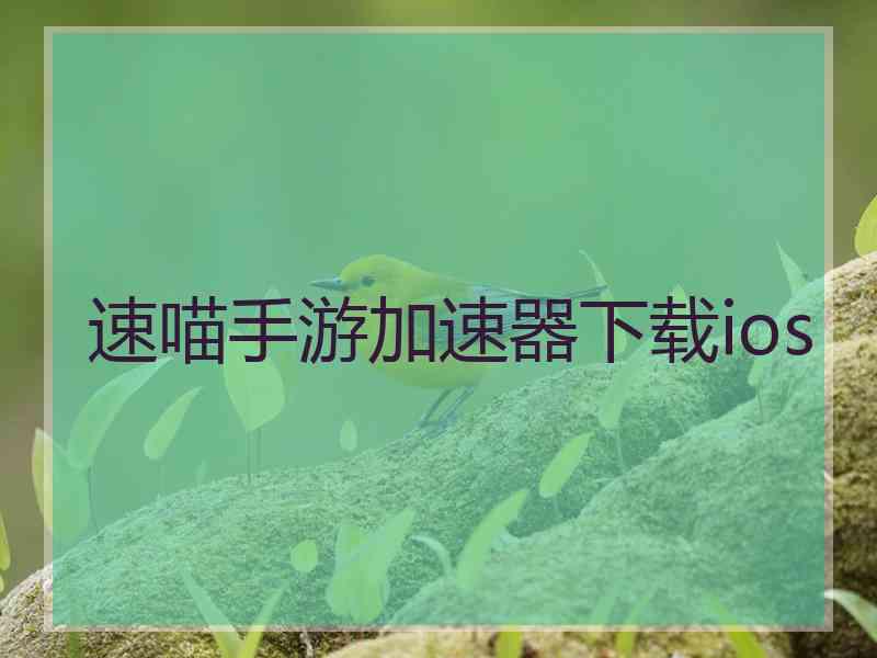 速喵手游加速器下载ios