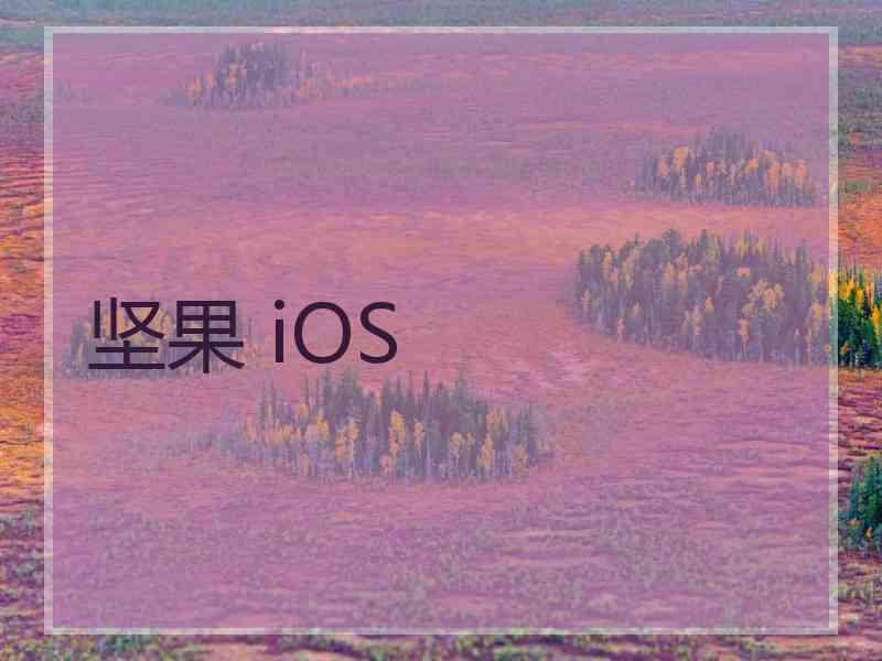 坚果 iOS
