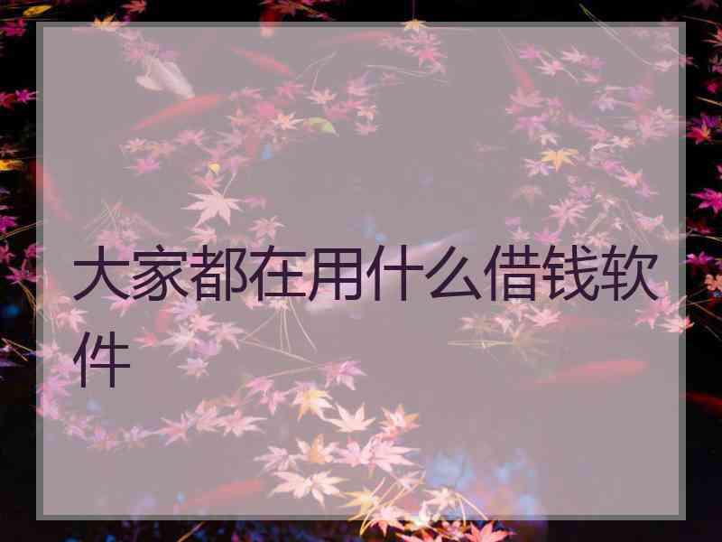 大家都在用什么借钱软件