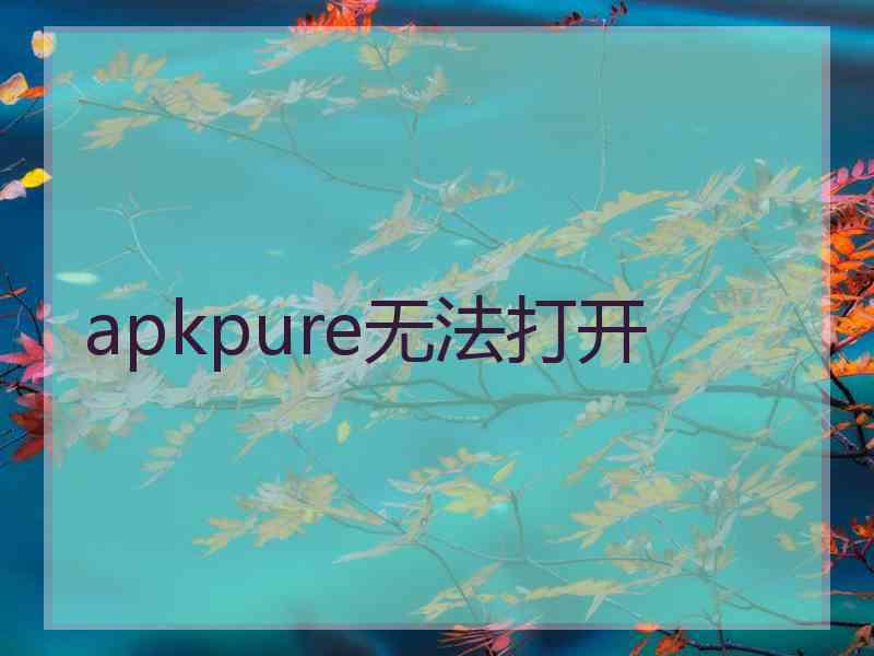 apkpure无法打开