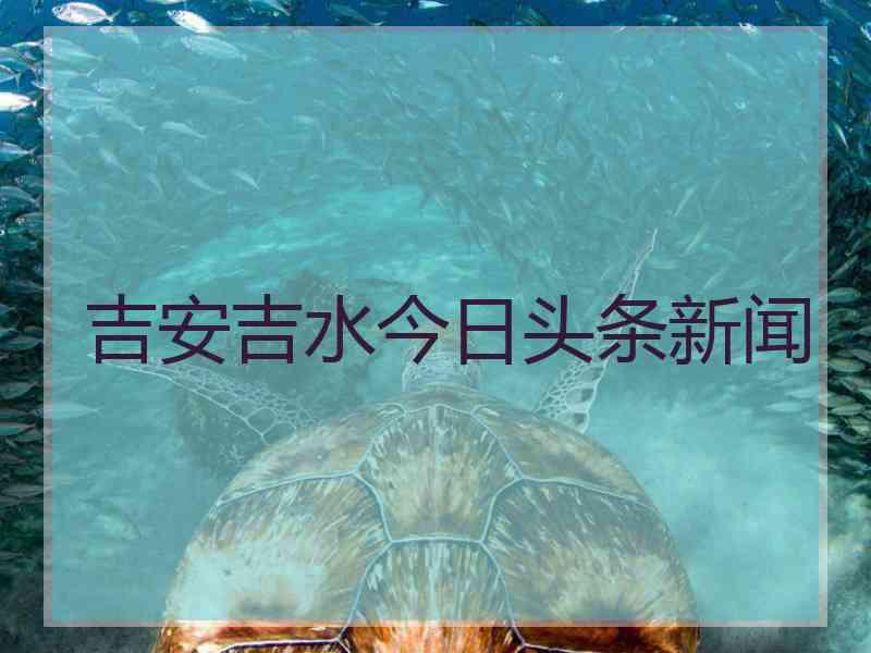 吉安吉水今日头条新闻