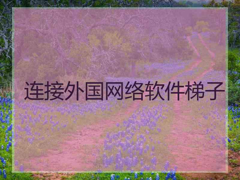 连接外国网络软件梯子