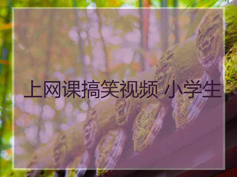 上网课搞笑视频 小学生