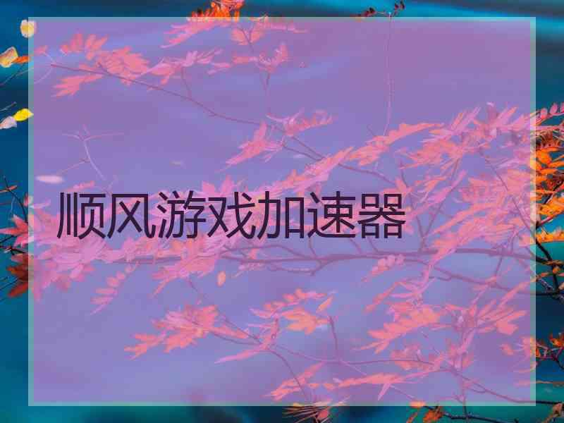 顺风游戏加速器