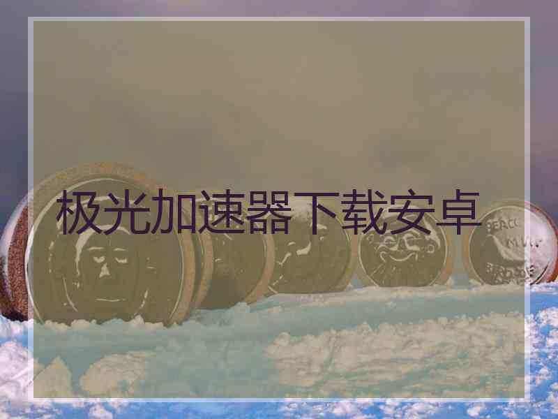 极光加速器下载安卓
