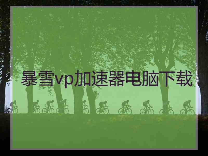 暴雪vp加速器电脑下载