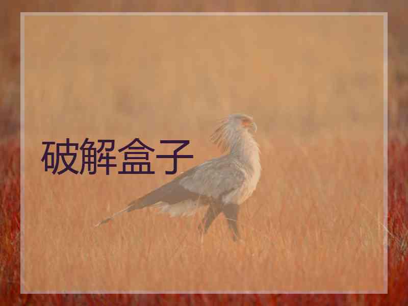 破解盒子