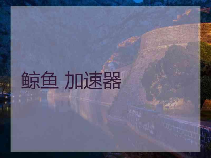 鲸鱼 加速器