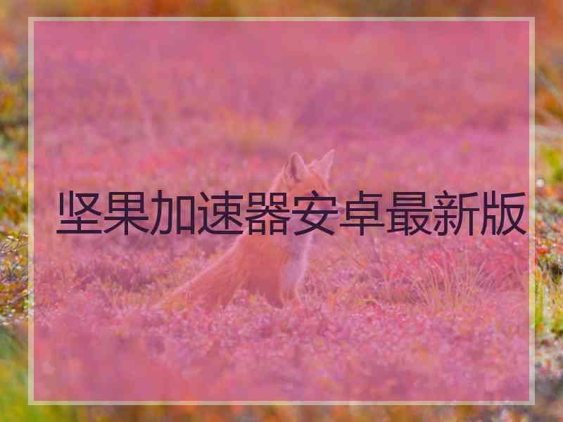 坚果加速器安卓最新版