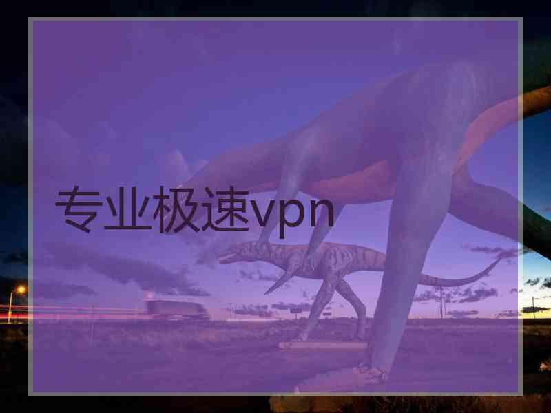 专业极速vpn