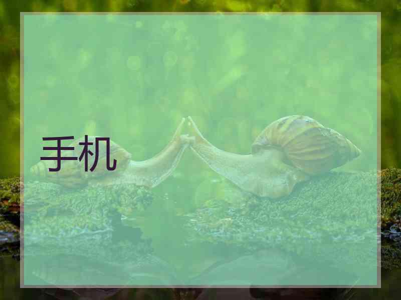 手机