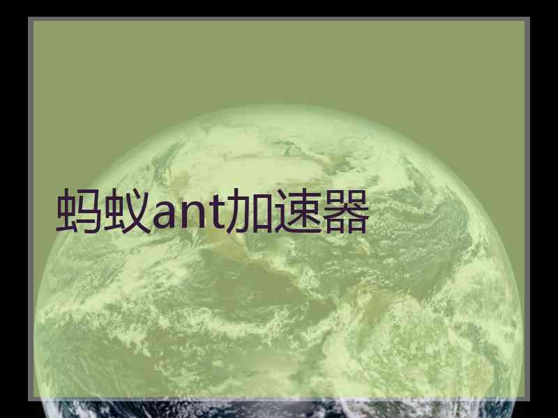 蚂蚁ant加速器