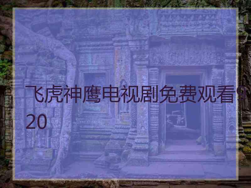 飞虎神鹰电视剧免费观看920