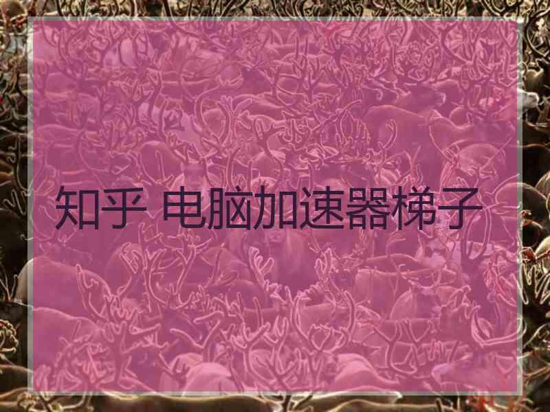 知乎 电脑加速器梯子