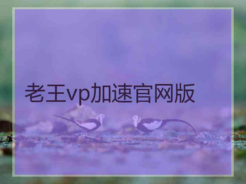 老王vp加速官网版