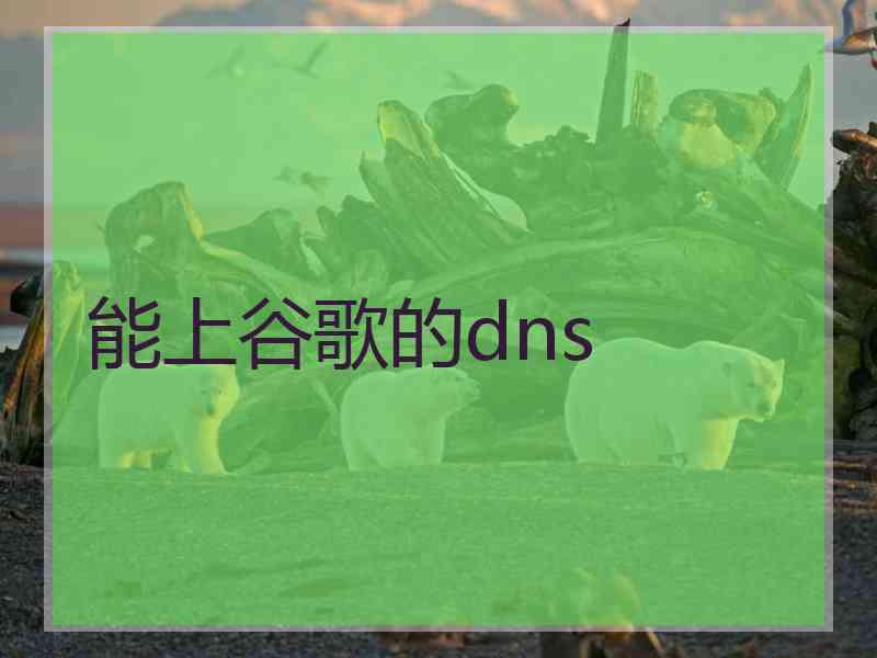 能上谷歌的dns