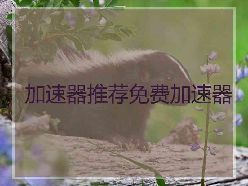 加速器推荐免费加速器