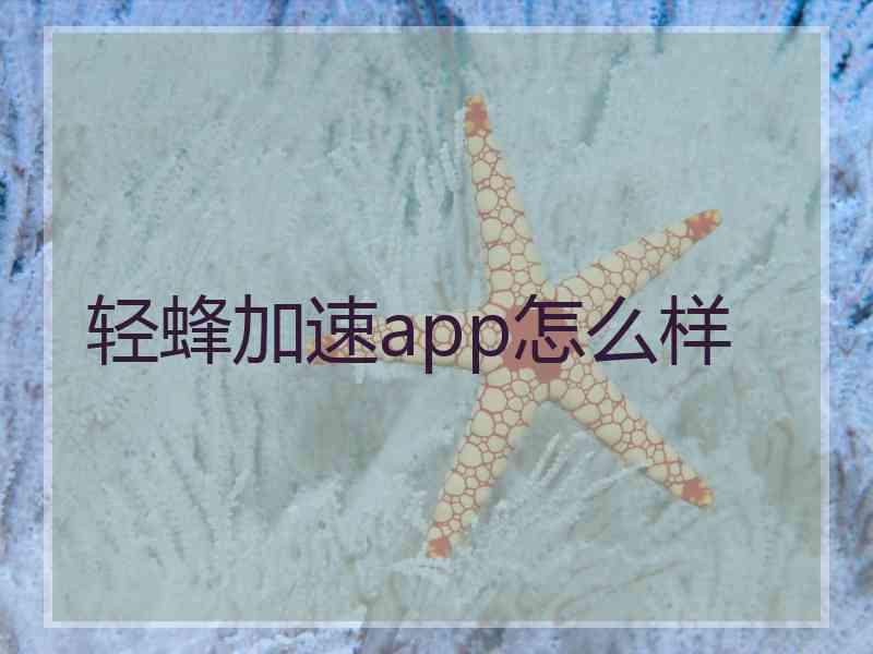 轻蜂加速app怎么样