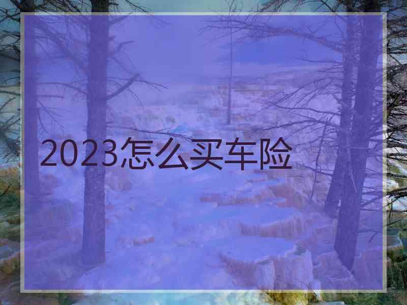 2023怎么买车险