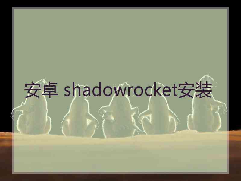 安卓 shadowrocket安装