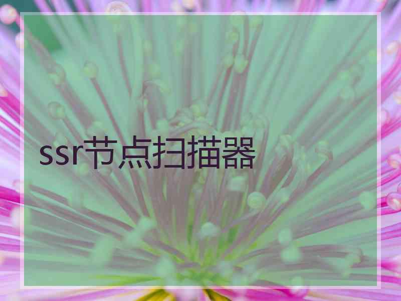 ssr节点扫描器