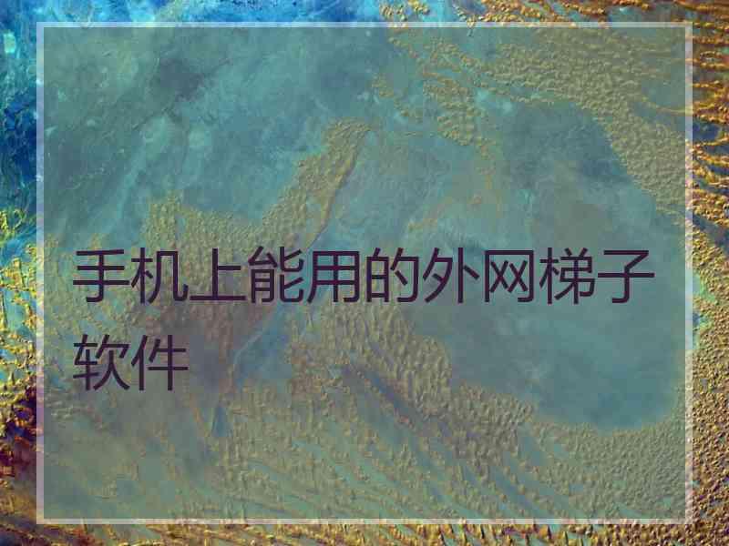 手机上能用的外网梯子软件