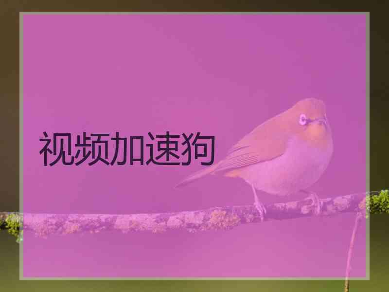 视频加速狗
