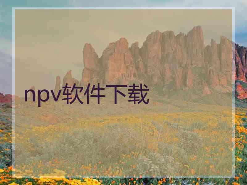 npv软件下载