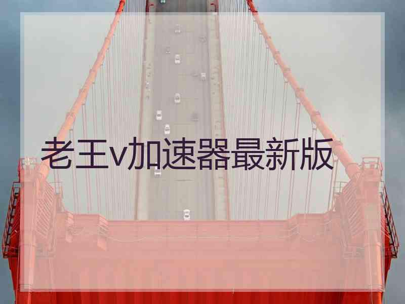 老王v加速器最新版