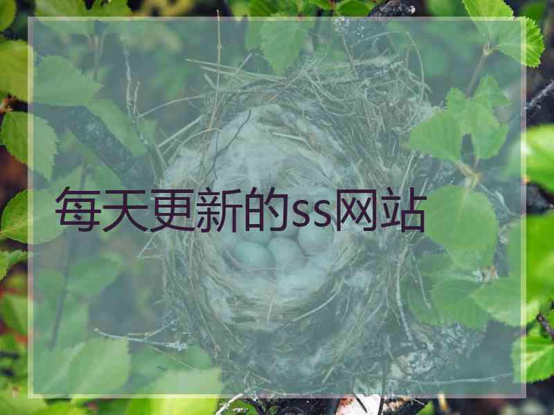 每天更新的ss网站