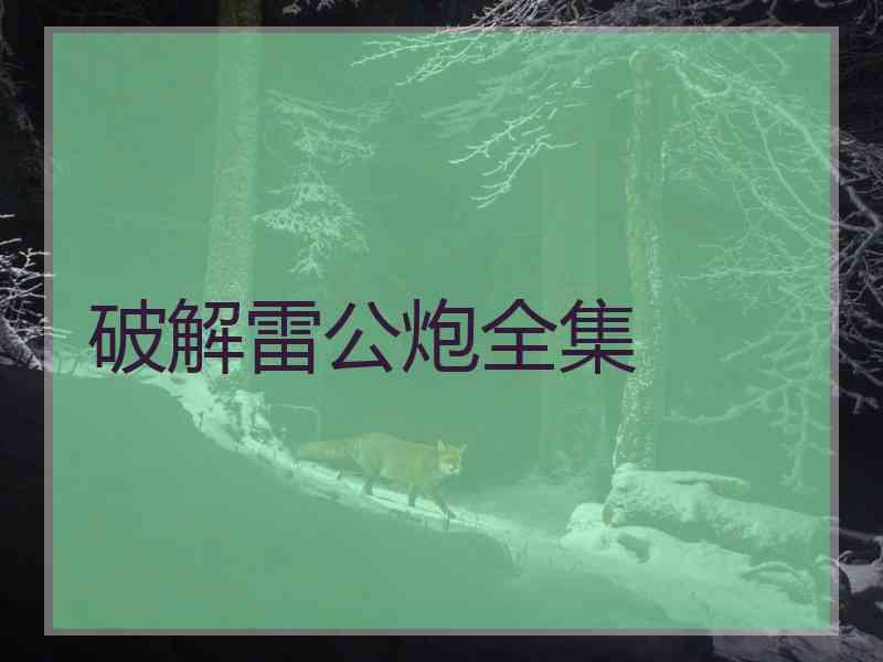 破解雷公炮全集