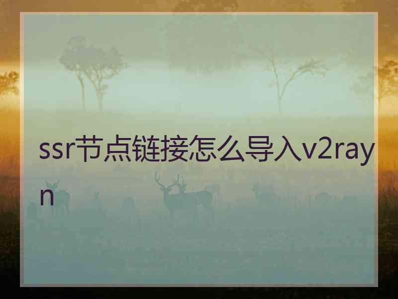 ssr节点链接怎么导入v2rayn