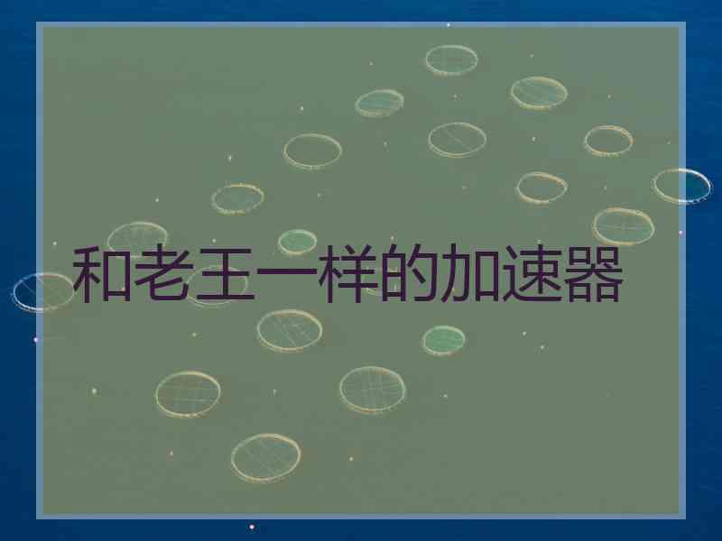 和老王一样的加速器