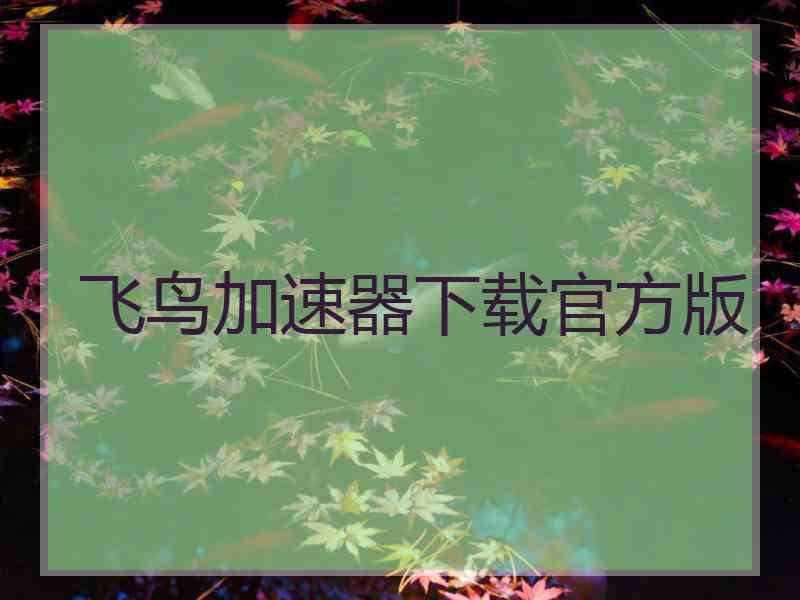 飞鸟加速器下载官方版