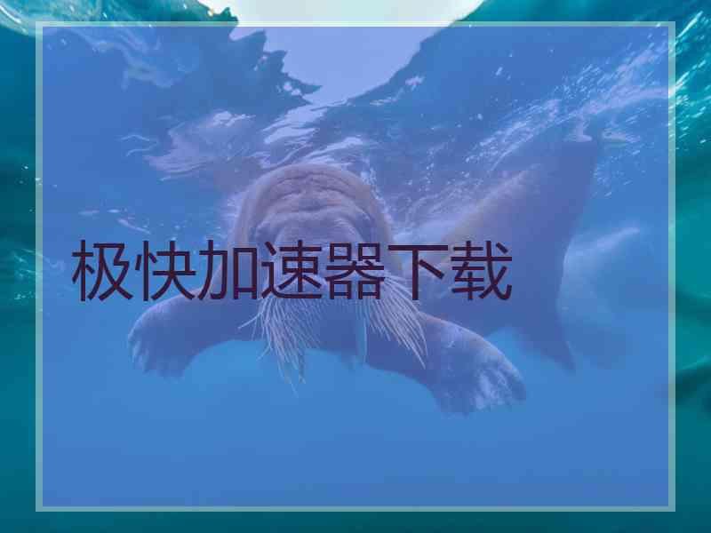 极快加速器下载