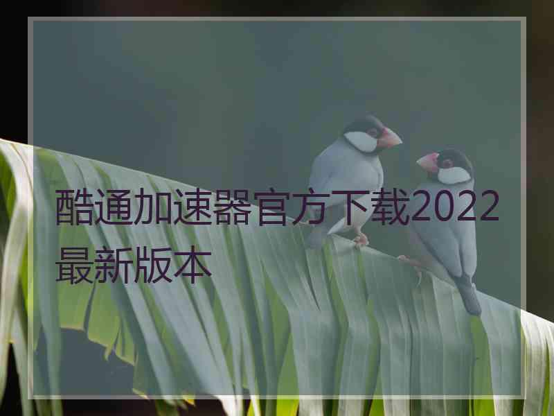 酷通加速器官方下载2022最新版本