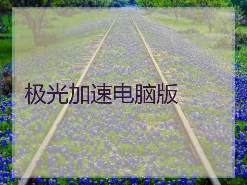 极光加速电脑版
