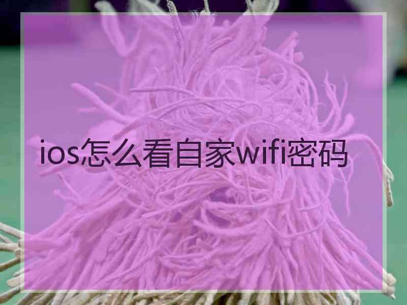 ios怎么看自家wifi密码